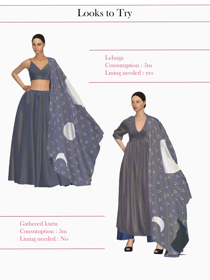 The Chandrima Indigo- Tissue Dupatta set